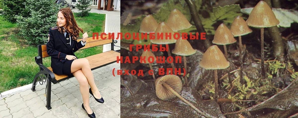 ПСИЛОЦИБИНОВЫЕ ГРИБЫ Абдулино