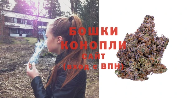 мдпв Нея