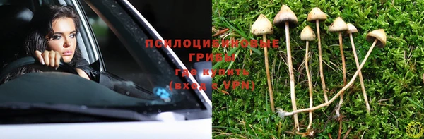ALPHA-PVP Алексеевка
